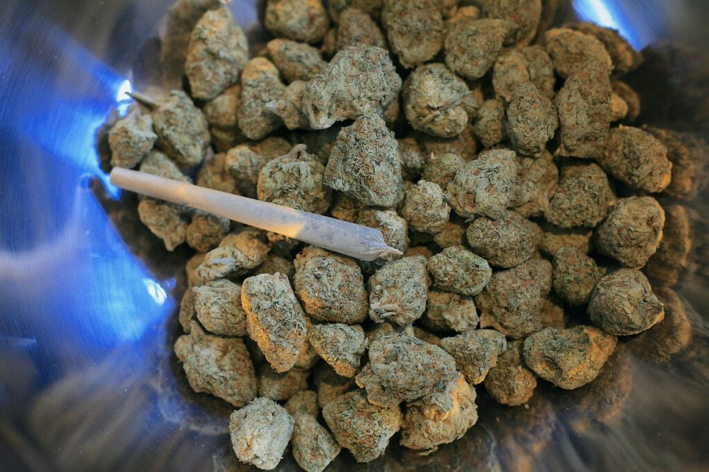 VELIKA AKCIJA POLICIJE: Zaplenjeno 130 kilograma marihuane, tržišna vrednost preko milion evra
