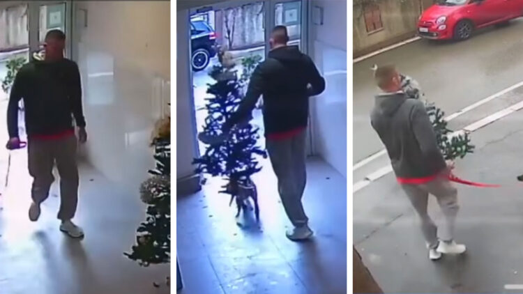 Pogledajte snimak nesvakidašnje krađe u Beogradu: Muškarac hladnokrvno ušetao u zgradu i odneo novogodišnju jelku