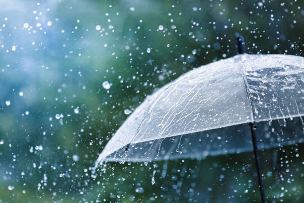 U Srbiji danas vetrovito uz prolazno naoblačenje sa kišom i pljuskovima