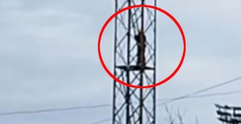 DRAMA U PANČEVU SREĆNO ZAVRŠENA: Čovek sišao sa vrha velikog tornja kod železnice (FOTO)