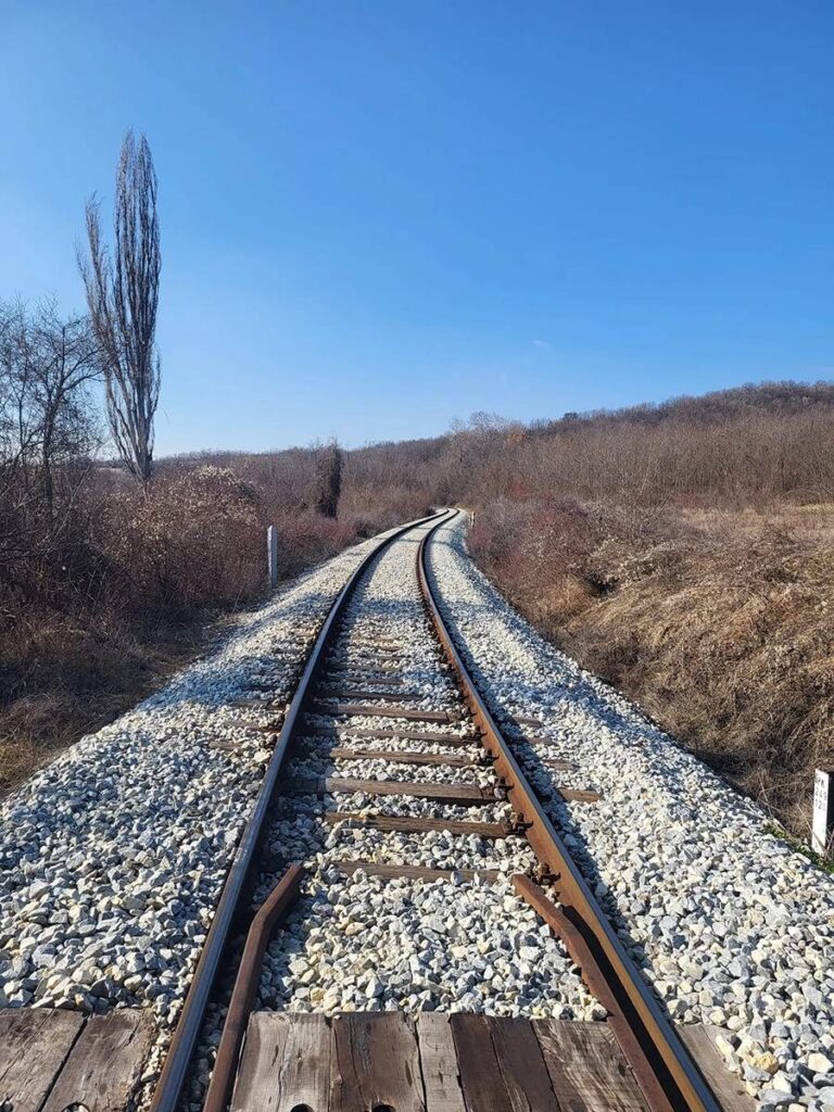 NEOSIGURANI PRUŽNI PRELAZI: Obustavljen železnički saobraćaj kod Jagodine, VOZ pokosio pešaka
