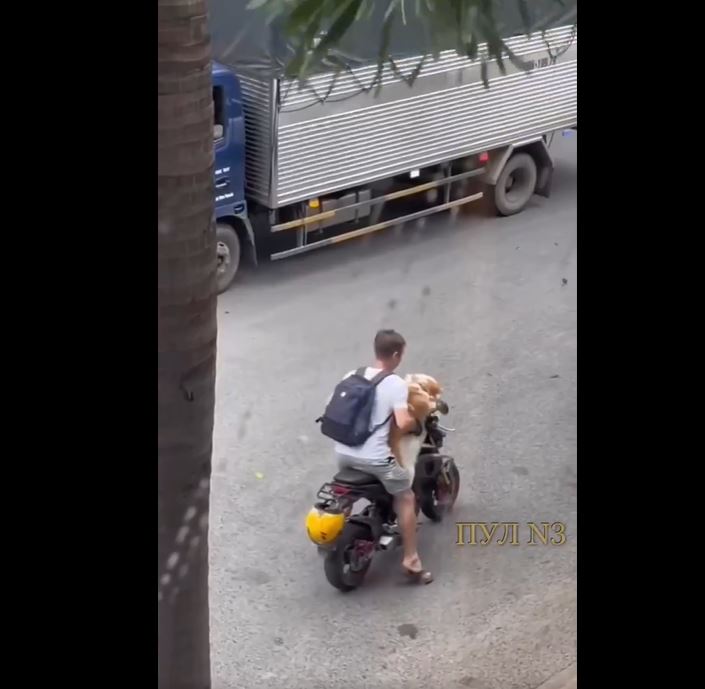 ČOVEK I NJEGOV NAJBOLJI PRIJATELJ U AKCIJI: Evo kako MUŠKARAC sa svoja dva psa „hara“ gradskim ULICAMA i to na MOTORU! (VIDEO)