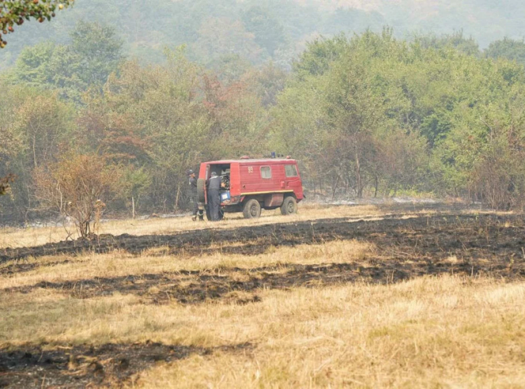 BORBA SA POŽARIMA NA PLANINI VIDLIČ TRAJE: Najkritičnije kod Pirota