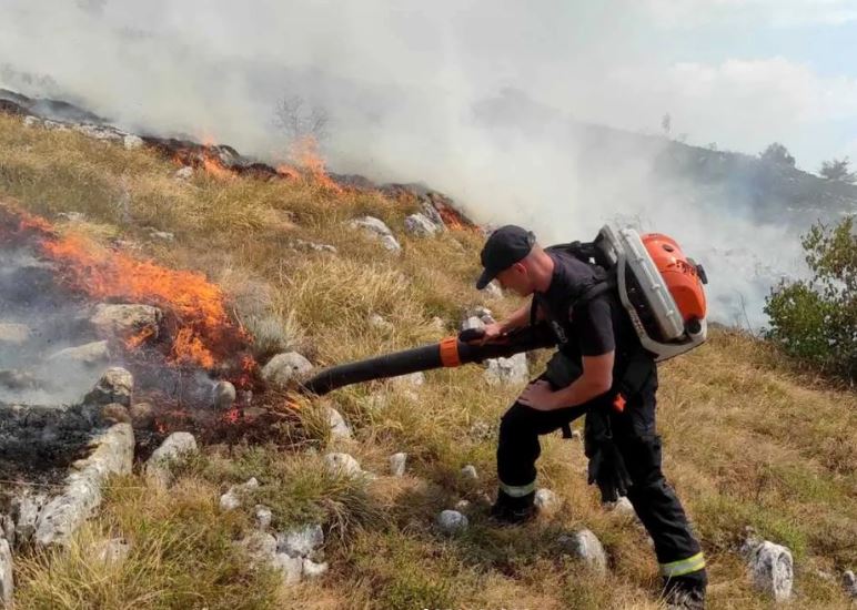 STARA PLANINA U PLAMENU: Teren je izuzetno nepristupačan (VIDEO)