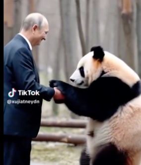 VLADAR SVETA I PANDA U ZAGRLJAJU: Snimak koji je obišao svet