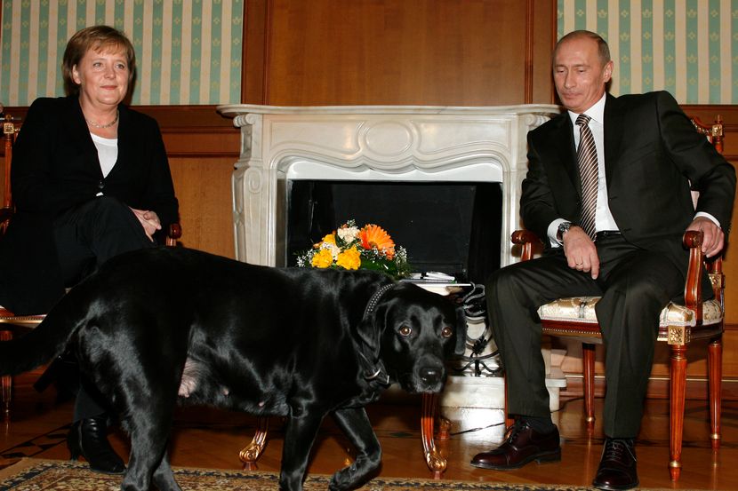 ANGELA MERKEL O ODNOSU SA PUTINOM: O čuvenoj fotografiji sa Putinom i njegovim psom: „Iskoristio je moj strah“