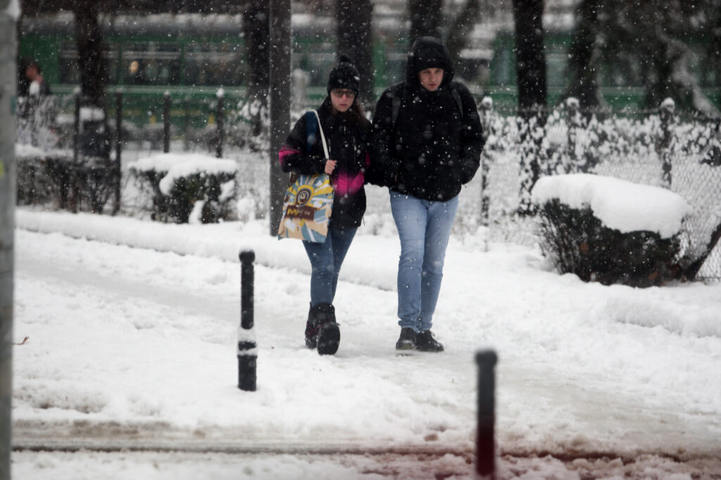 U BEOGRADU DRVEĆE PADALO PO ČITAVOM GRADU: Sneg uzeo danak (VIDEO)