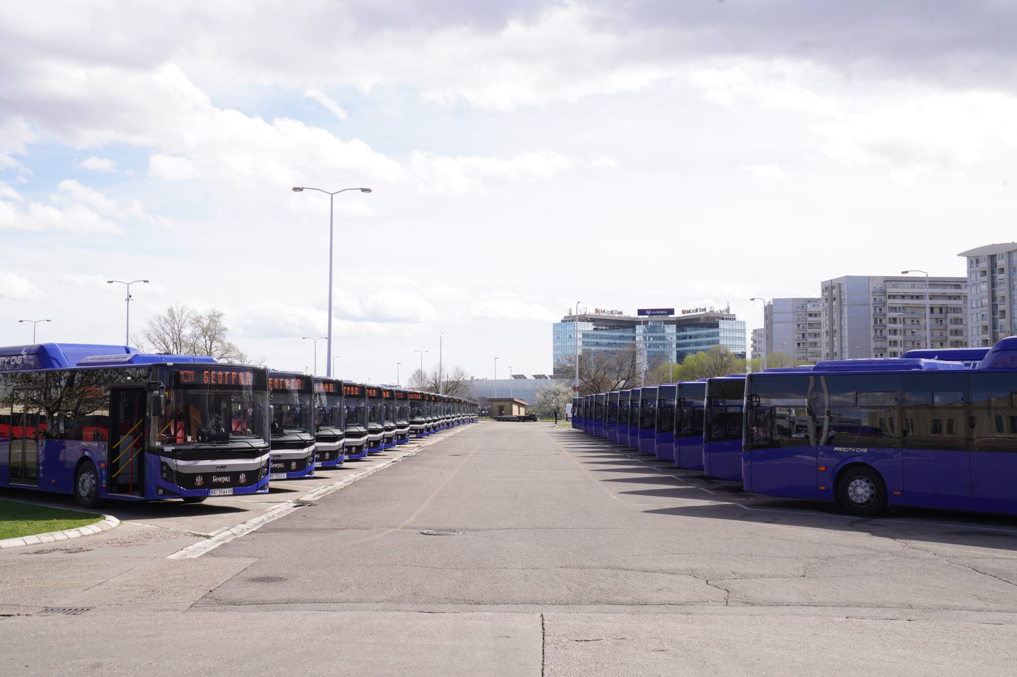 plavi autobusi 