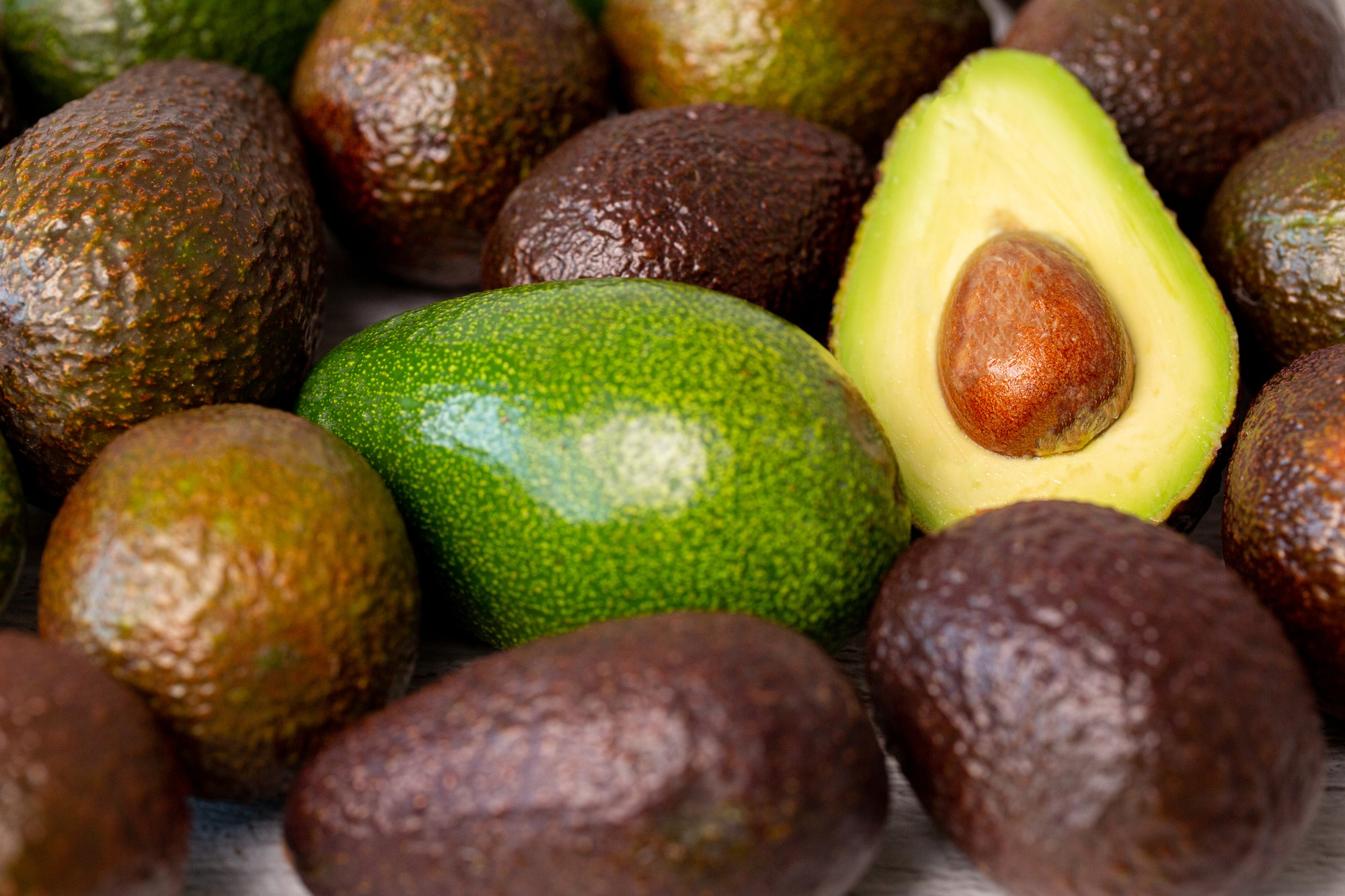 Avokado