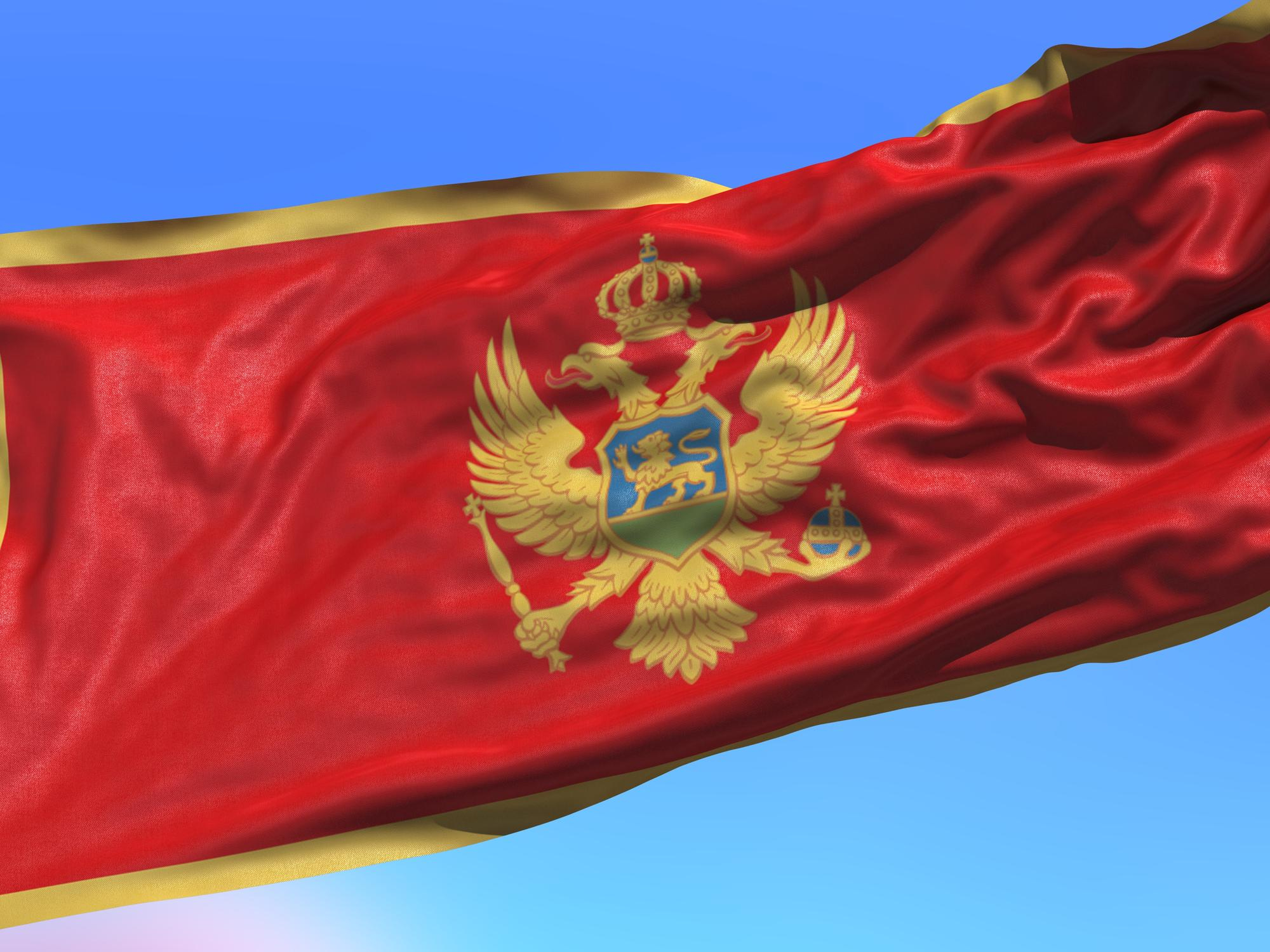 Vozač