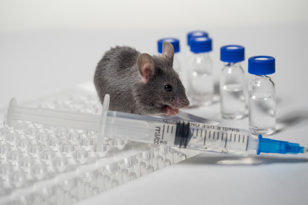 MOŽDA JE VREME ZA KARANTIN: Epidemija leptospiroze se širi po Bosni i Hercegovini