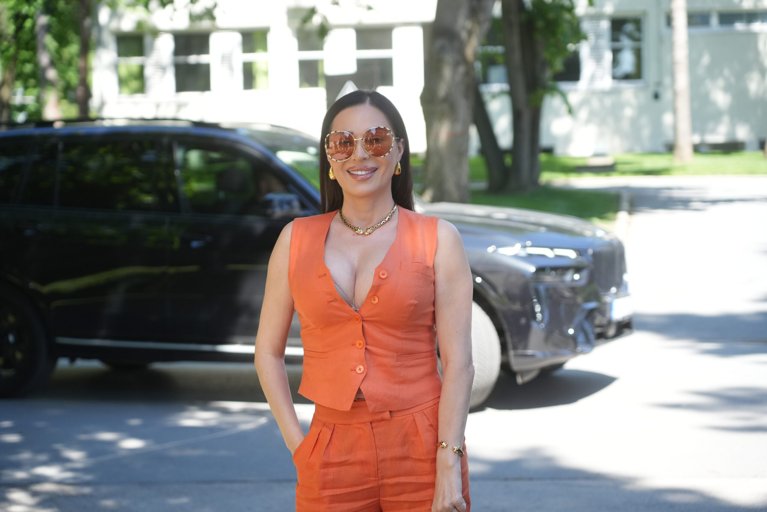 Ceca Ražnatović