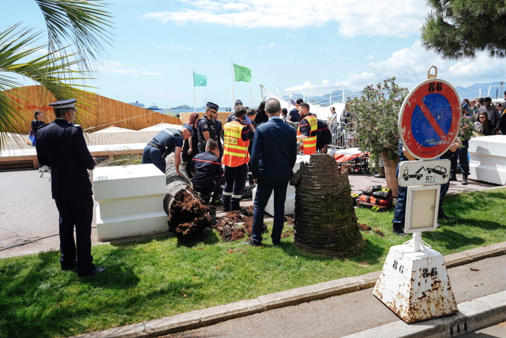 POVREĐEN MUŠKARAC NA KANSKOM FESTIVALU: Palma pala na čoveka dok se šetao Kroazetom