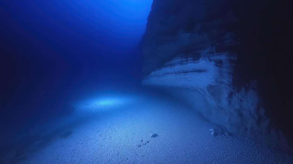 DREVNI FOSILI SU MAJSTORI PRERUŠAVANJA: Rešena misterija stara 500 milona godina