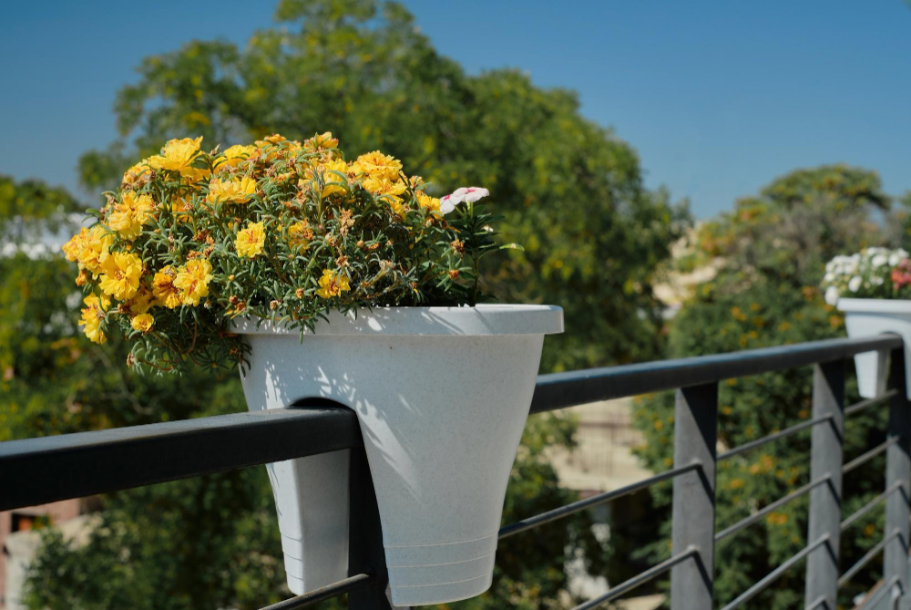 UKRASITE SVOJ BALKON: Najbolje prolećne biljke za terasu