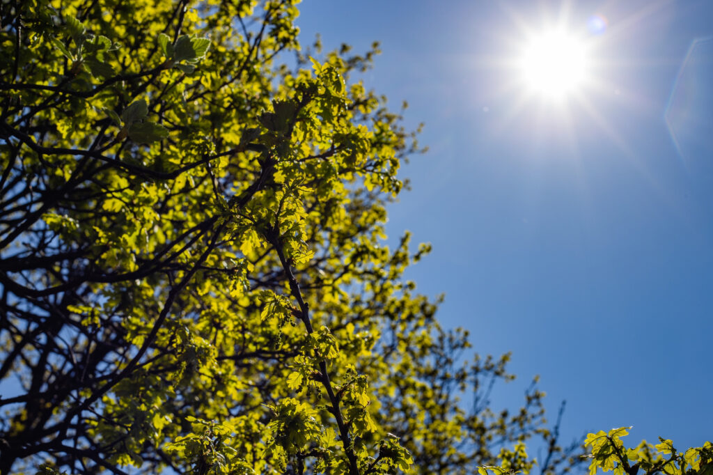 VEDRO, ALI HLADNO: Najviša dnevna temperatura dostizaće do 20 stepeni