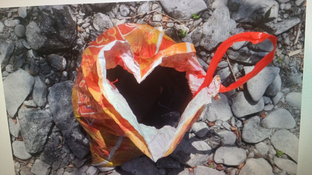 SVIREPO UBISTVO ŠTENACA: Muškarac uhapšen zbog jezivih snimaka mučenja