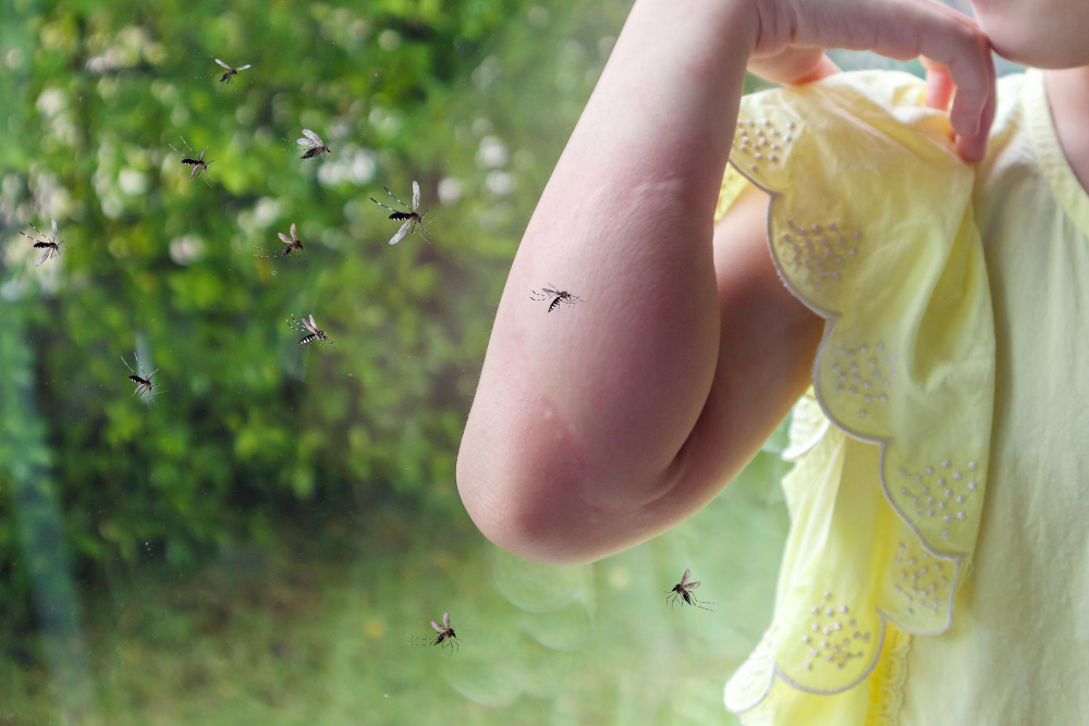 OPASAN VIRUS: Otkriven kod komaraca u Srbiji, lako se prenosi na ljude