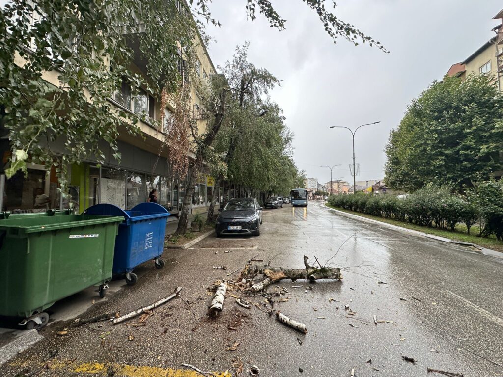 VETAR ČUPAO DRVEĆE IZ KORENA: Strašno nevreme pogodilo Čačak i okolinu