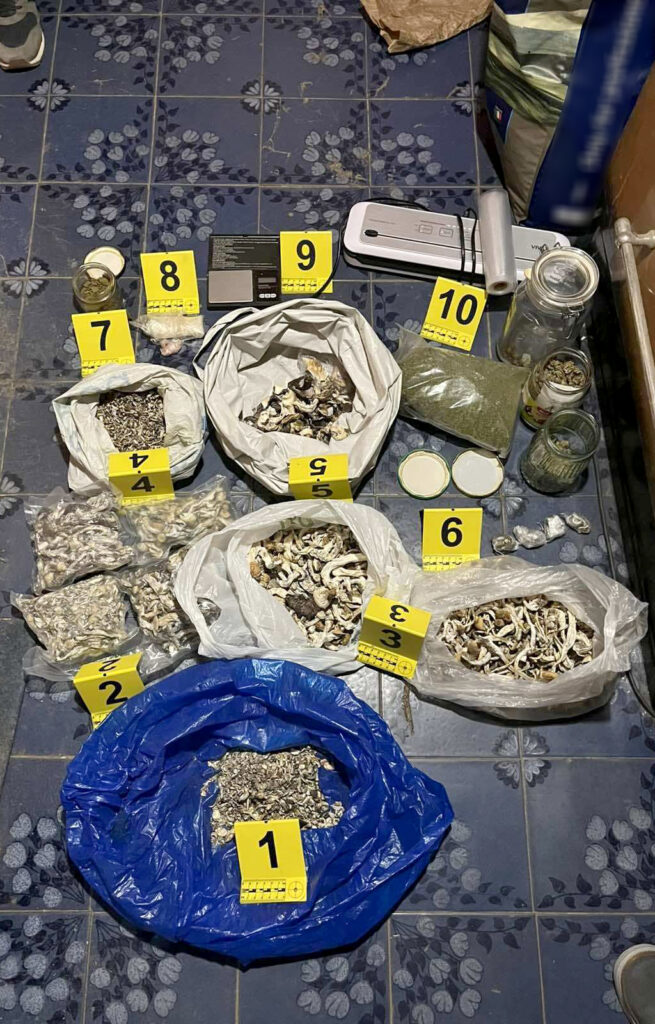 POLICIJA U BEČEJU RAZBILA LABORATORIJE DROGE: Uhapšeni zbog proizvodnje psihoaktivnih pečuraka i narkotika (FOTO)