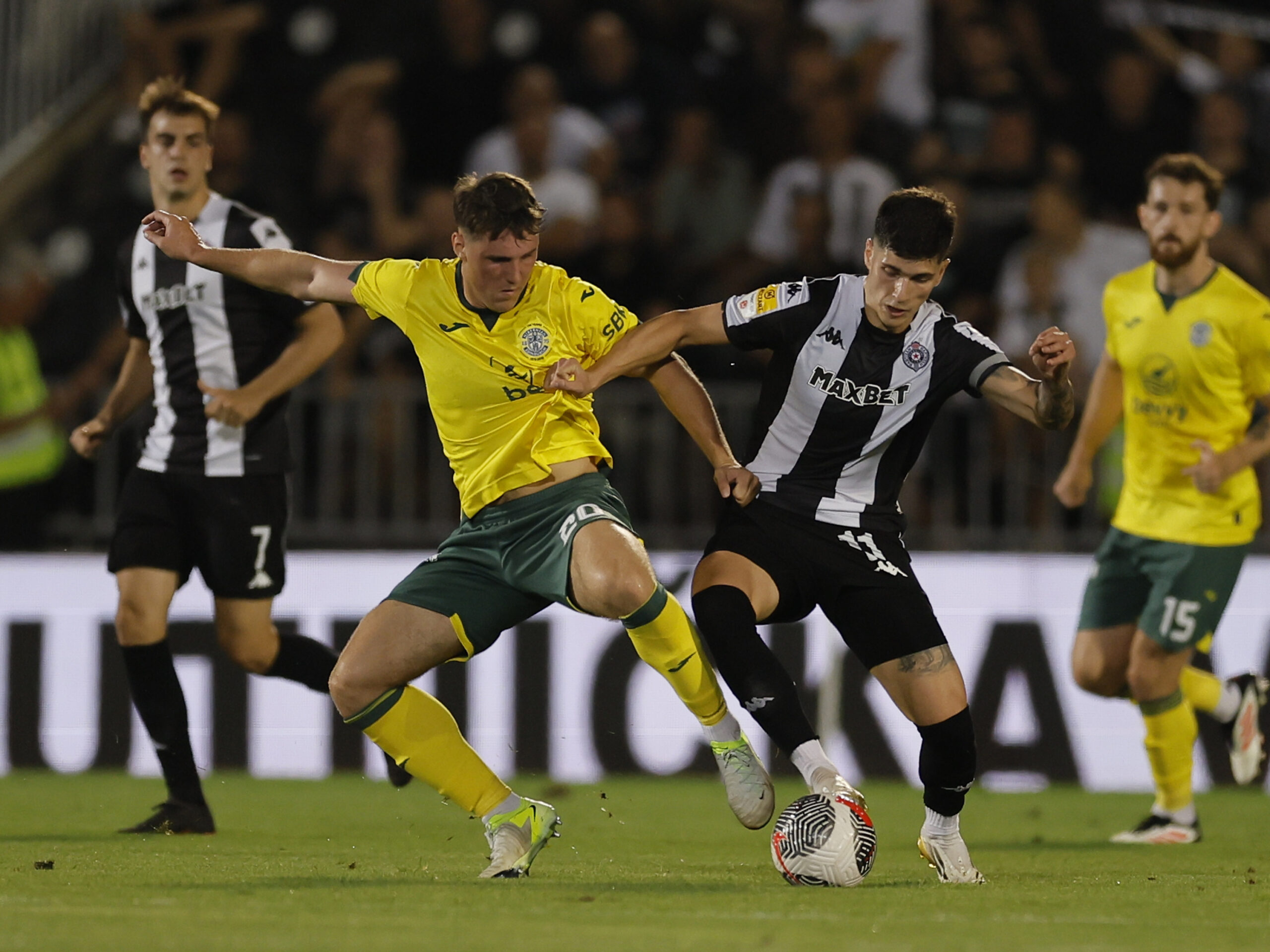 PARTIZAN hIBERNIJAN
