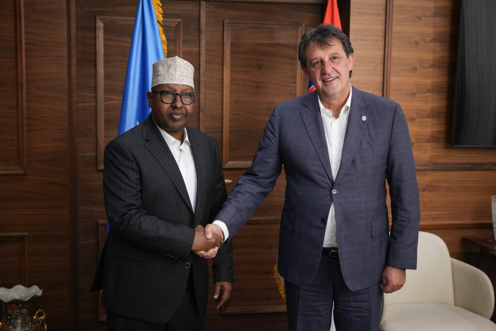 NEGUJEMO OBOSTRANE INTERESE: Bratislav Gašić ugostio ministra odbrane Somalije