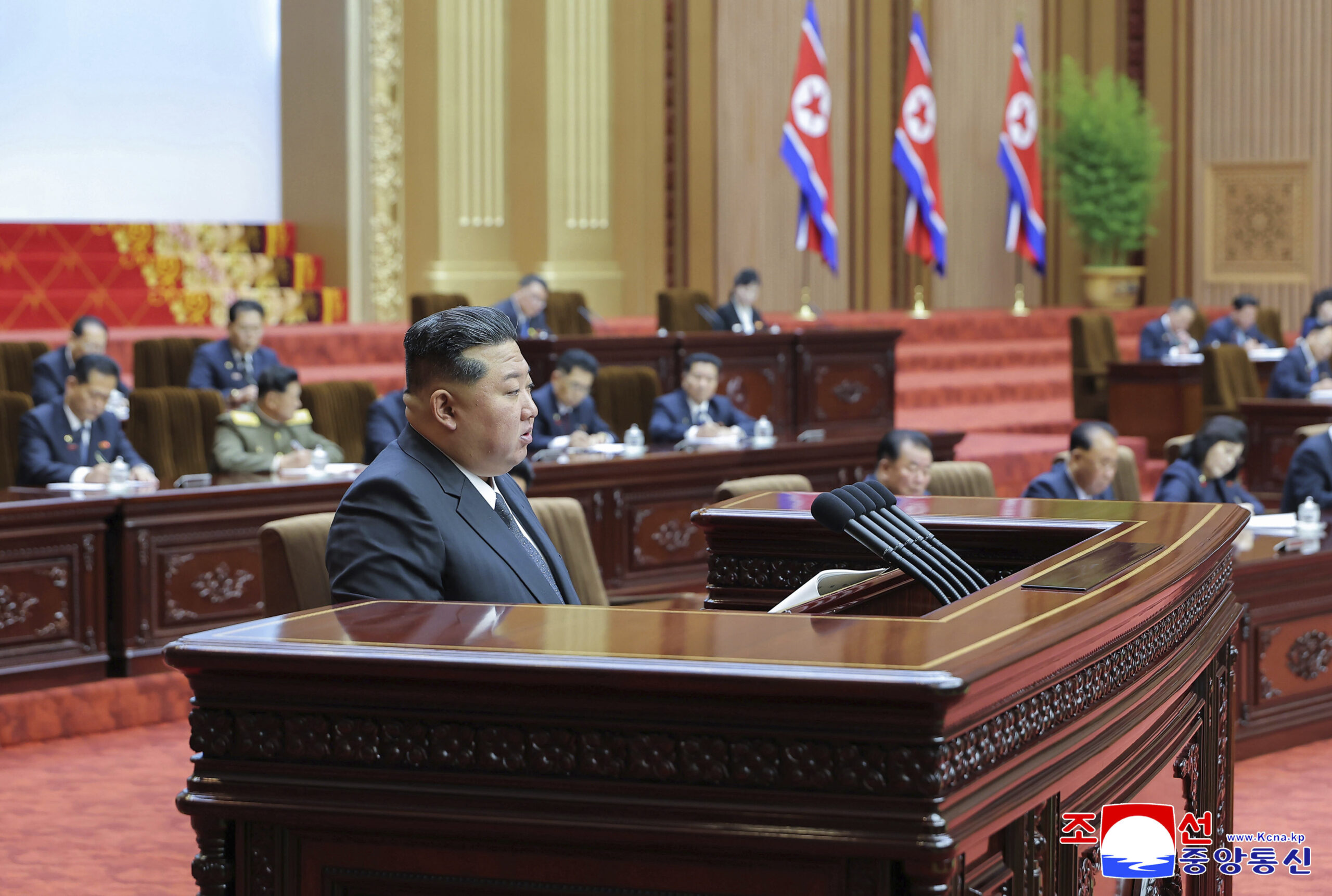Kim Džong Un, Severna Koreja