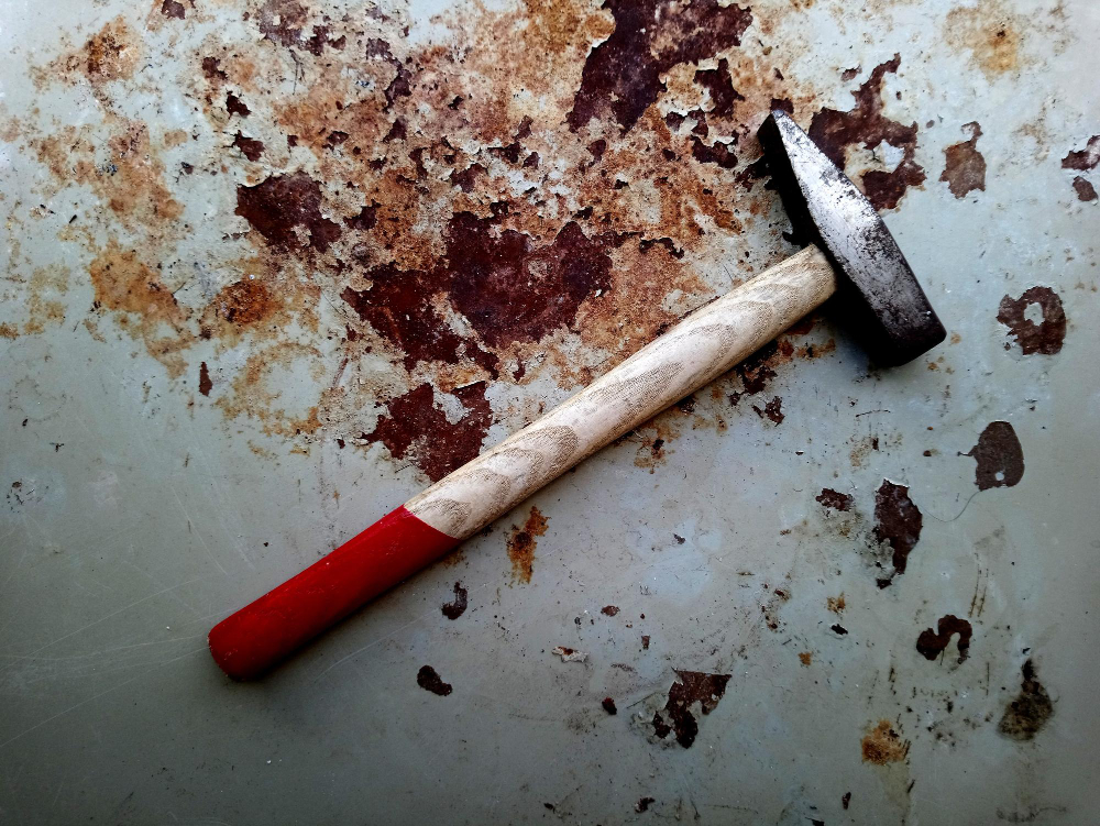 JEZIV ZLOČIN U AMERICI: Sin pretukao majku