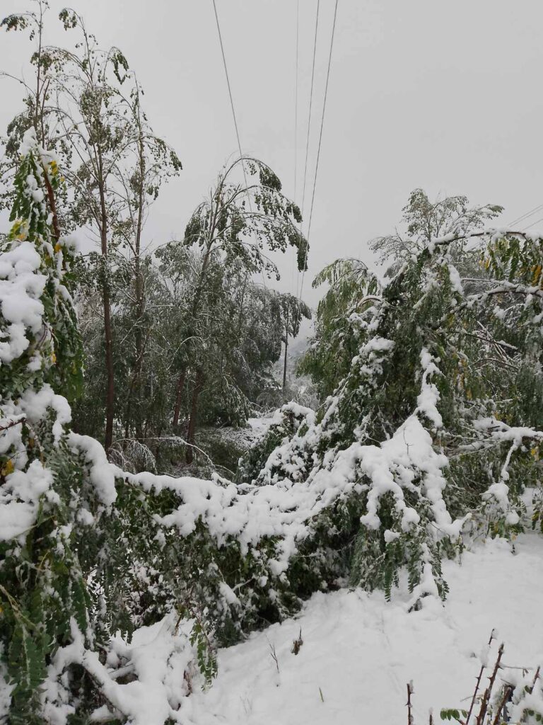 SNEG SE VRATIO NA KOPAONIK: Planina jutros najhladnije mesto u Srbiji