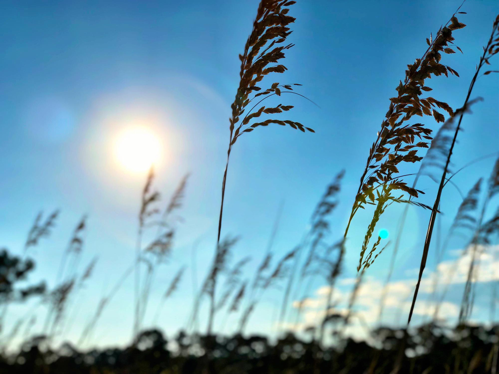U SRBIJI SUTRA TOKOM DANA PRETEŽNO SUNČANO: Najviša dnevna temperatura do 18 stepeni