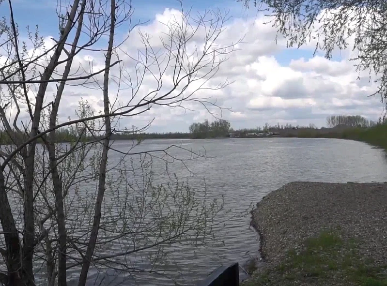 POPLAVA KOD VRANJA: Izlila se Južna Morava, devet osoba evakuisano