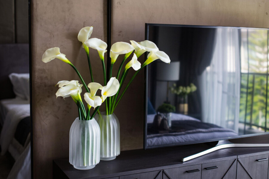 ESTETSKI LEPA, ALI I LEKOVITA: Jedna kućna biljka predstavlja simbol mira i blagostanja