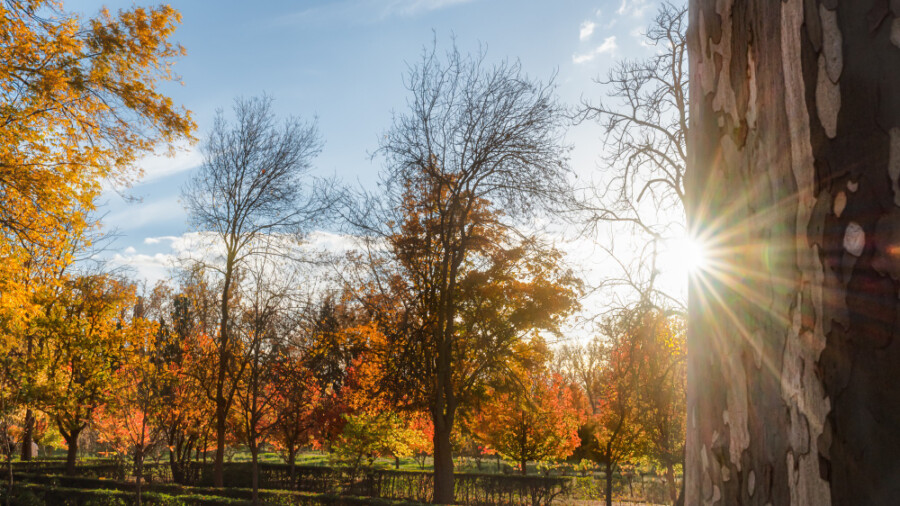 UŽIVAJTE U NOVEMBARSKOM SUNCU: U Srbiji danas do 18 stepeni