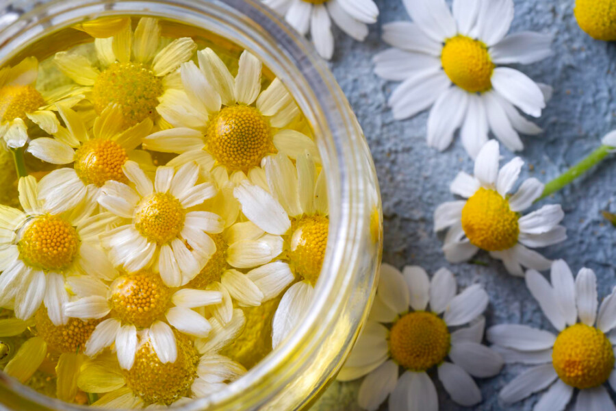 UMIRUJE I OSVEŽAVA: Tonik od kamilice i za stariju i za mlađu kožu